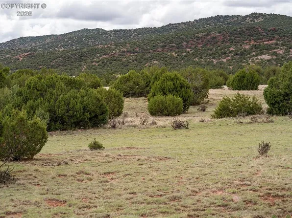 4 Iron Handle Rd, Penrose, CO 81240