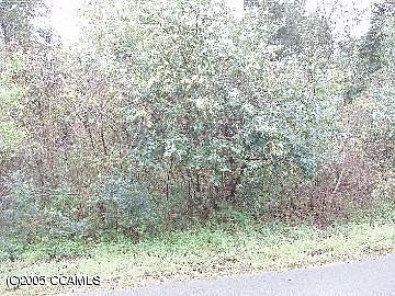1st image of 133 Loblolly LOT 12