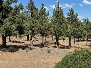 9-1 Wildhorse Pl Lot 114, Weed, CA 96094