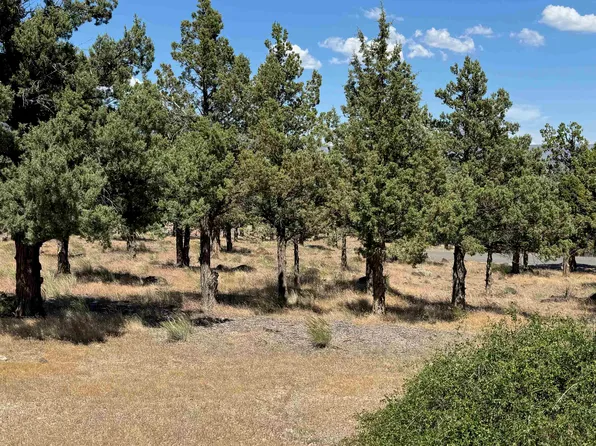 9-1 Wildhorse Pl Lot 114, Weed, CA 96094