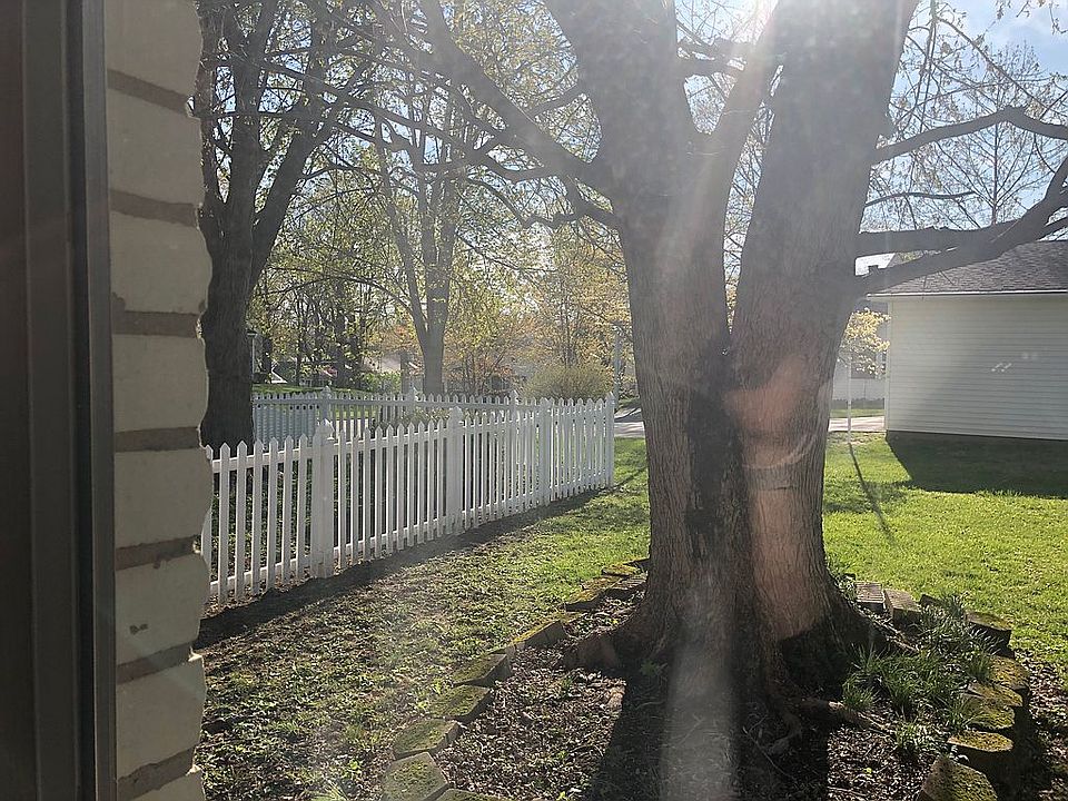 Backyard from inside kitchen