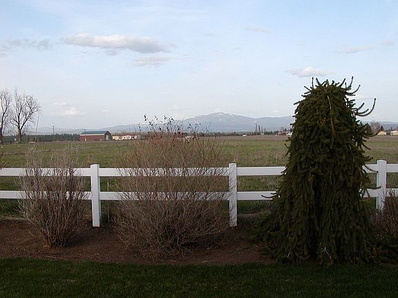 Vinyl cross fencing!