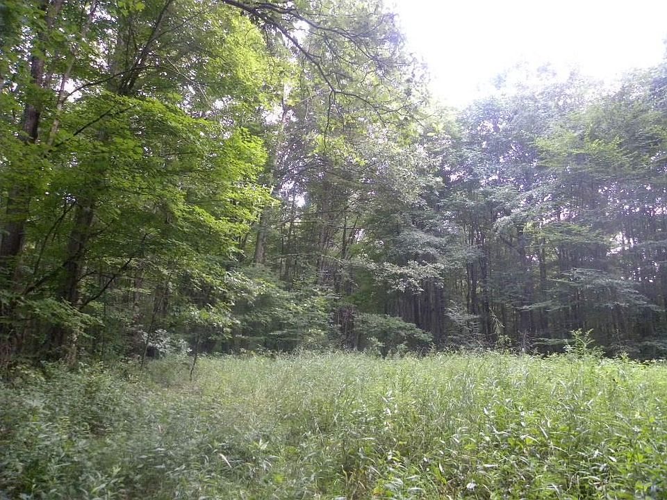 2nd image of Jacobs Rd