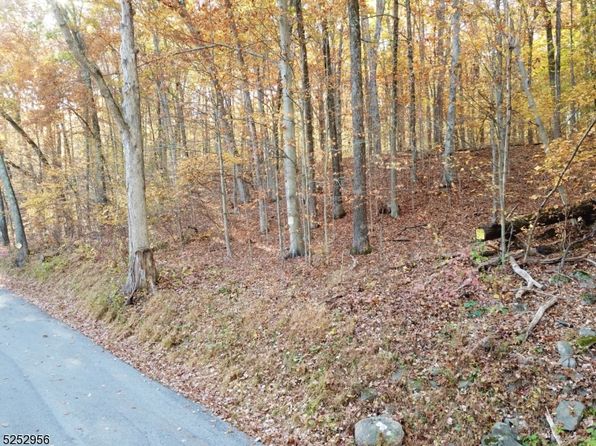 26 Dickerson Rd, Frankford Twp., NJ 07826