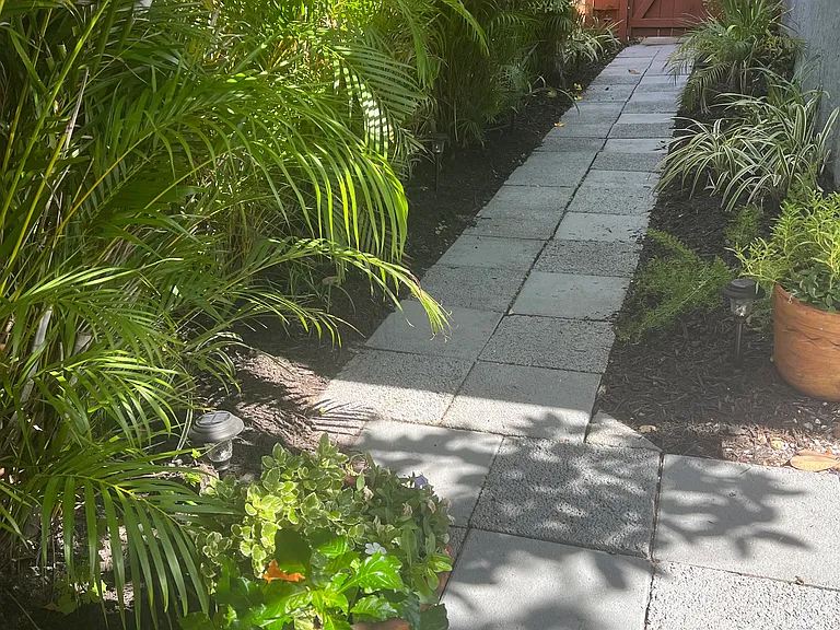2216 Hibiscus St — Photo 38