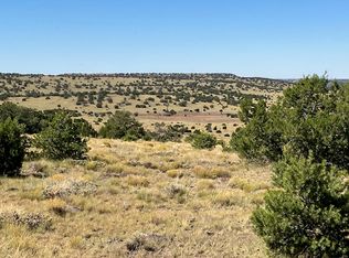 Lots #2&5, Quemado, NM 87829