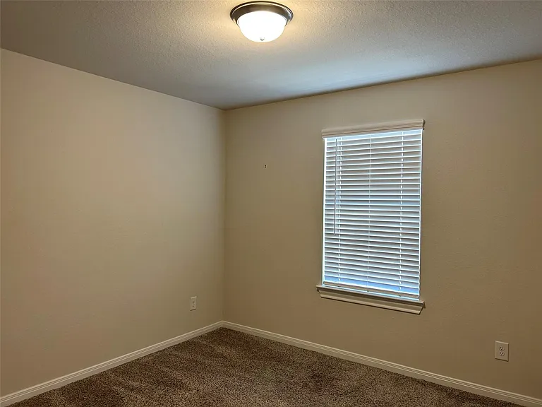 4326 Pale Fox Ln — Photo 16