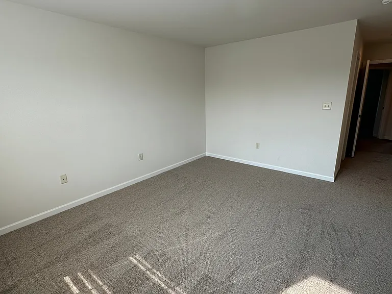 210 Mount Olive Ln — Photo 20