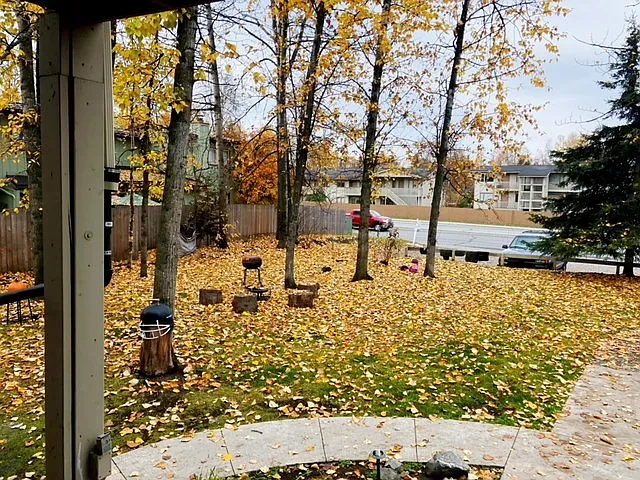 3325 Boniface Pkwy — Photo 5
