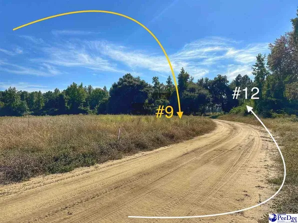 LOT 12 Neil Dr, Hamer, SC 29547