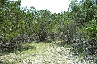 1st image of 234 Longwood