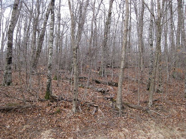 1st image of 126 Wedling Weg
