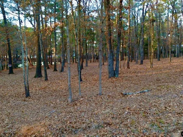 Hickory Trl #11E, Flint, TX 75762