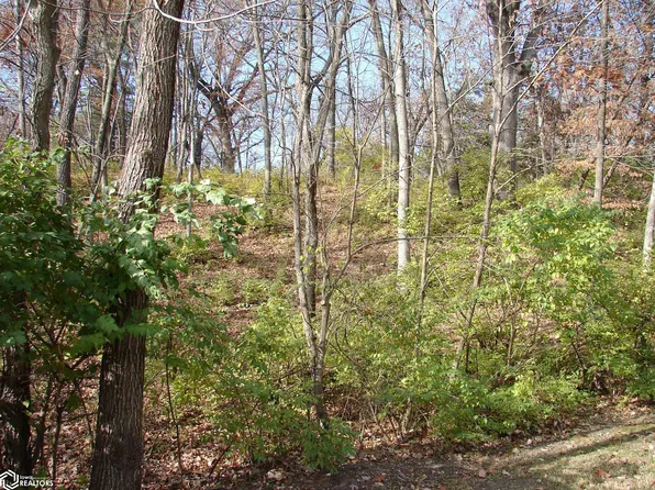 LOT 1 S Hoaglin Dr, Mount Pleasant, IA 52641