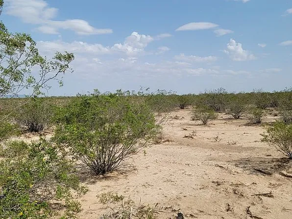 43000 S Avenue 46 E, Salome, AZ 85348