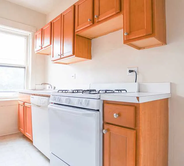 1533 W Cornelia Ave #2 — Photo 1