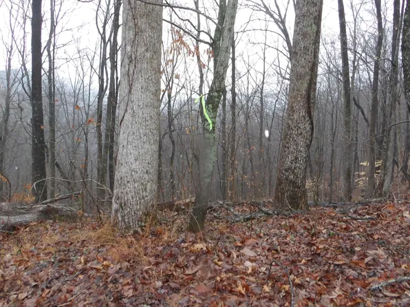 Lots 17&18 Savannah Dr, Smithville, TN 37166