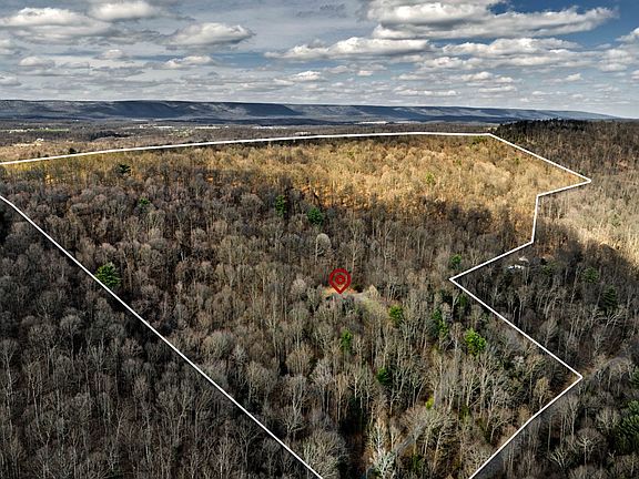 5th image of 613 Evans Hollow Rd