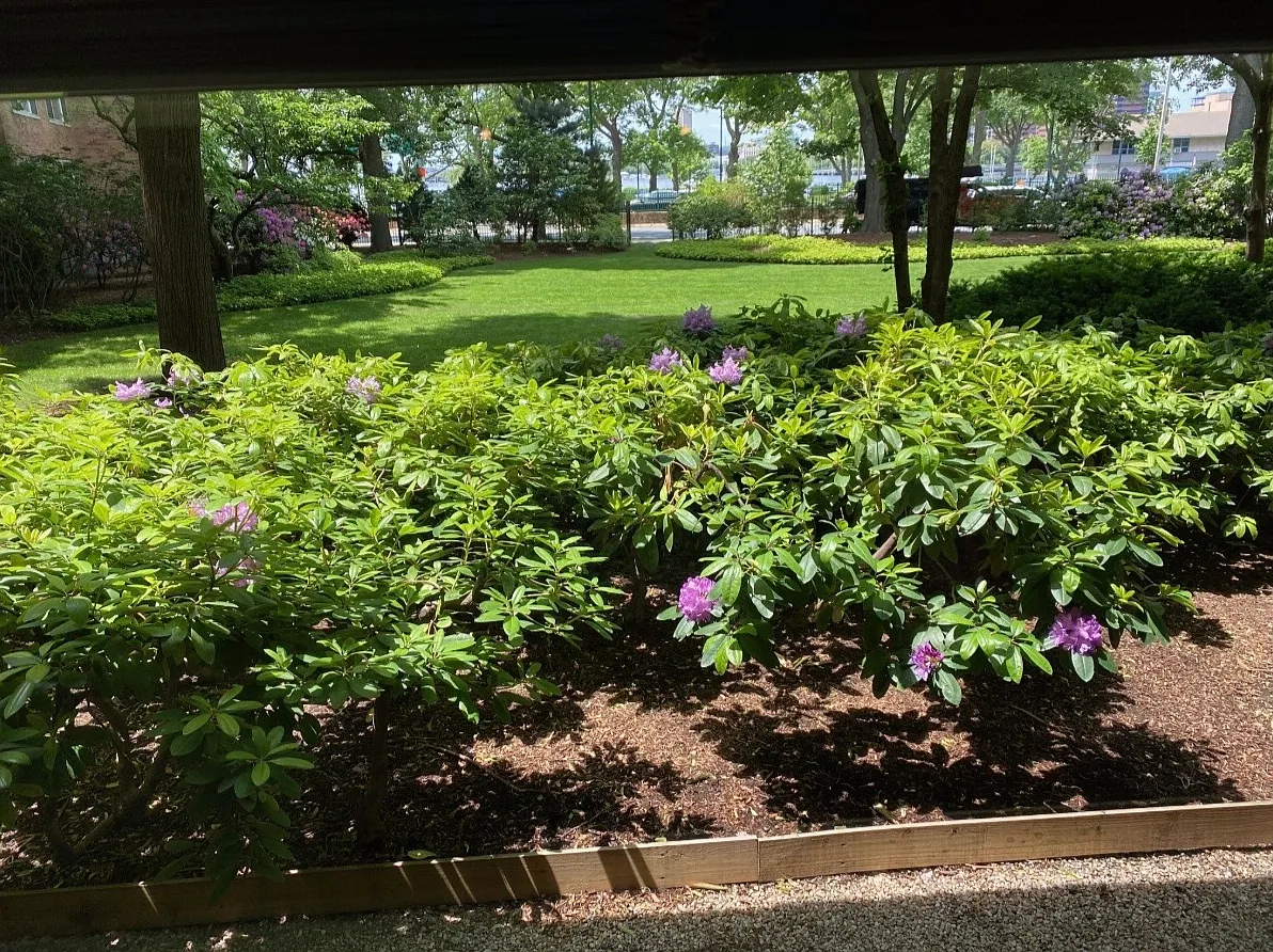 Studio, 600 sqft, $2,750 — Photo 3