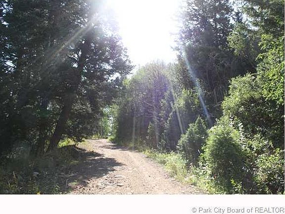 4th image of 167 Porcupine Loop #167