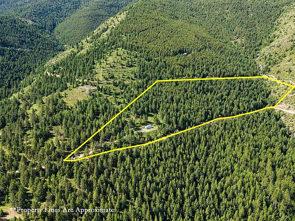 5th image of 2398 Larch Camp Rd