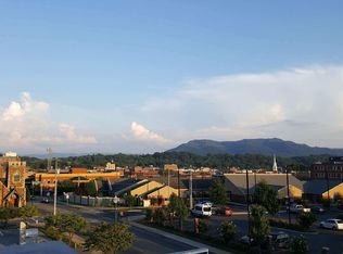 606 N Roan St #608-100, Johnson City, TN 37601