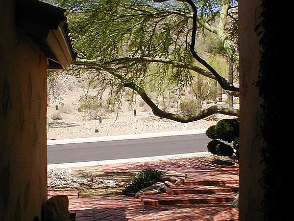 View from Front Door