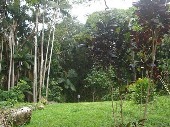 3rd image of Old Mamalahoa Hwy Lot 1