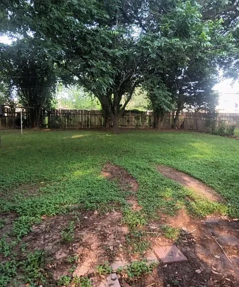 818 Merry Ln — Photo 24