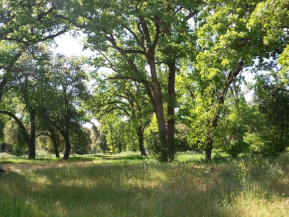 Meadow w/Oaks