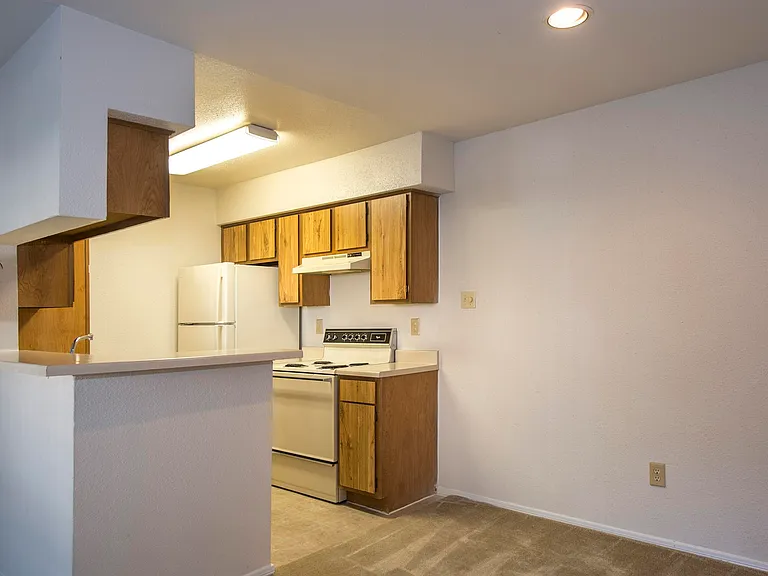2911 Sycamore Springs Dr — Photo 48