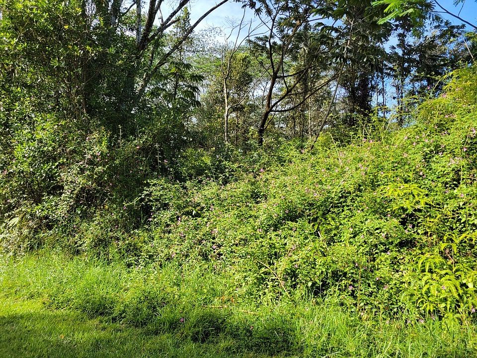 2nd image of Ginger Rd Lot 83