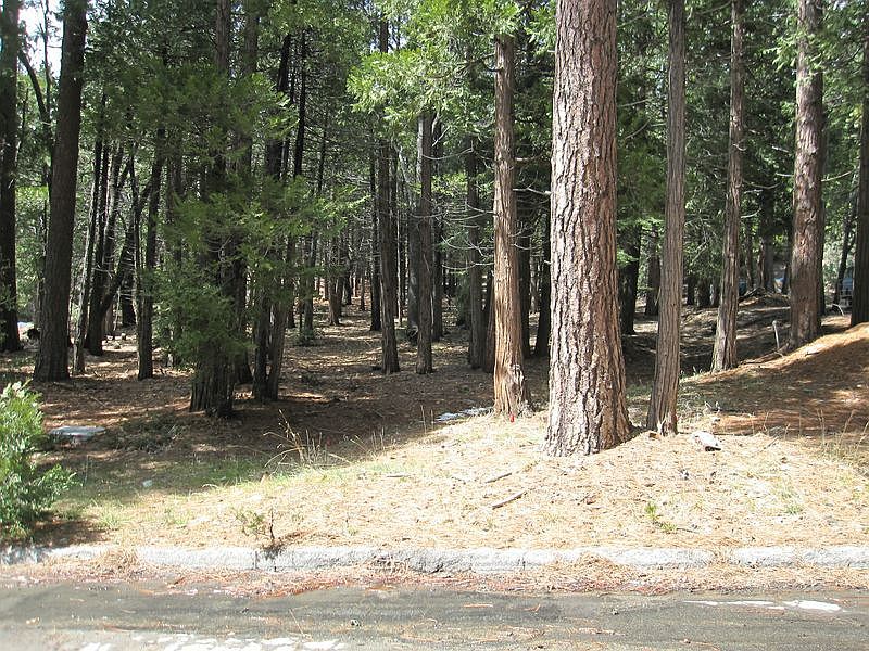 2nd image of 1406 Pinecone Ct