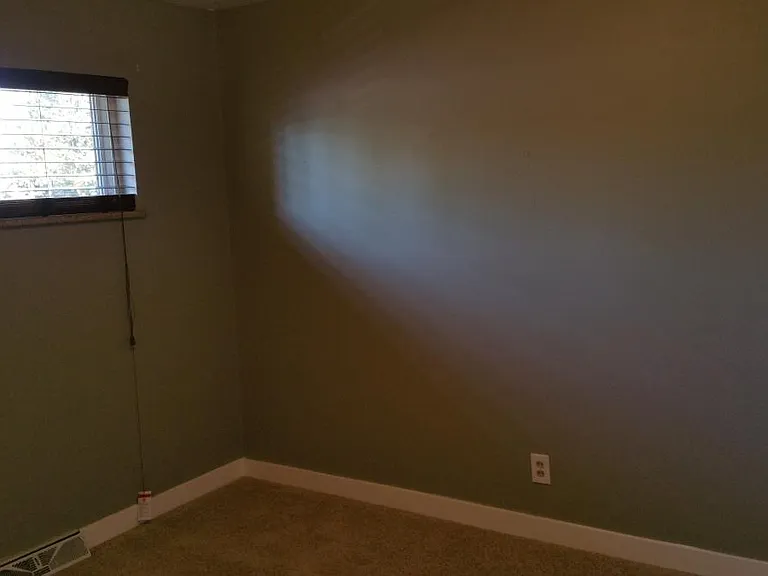 1113 Emigh St — Photo 14