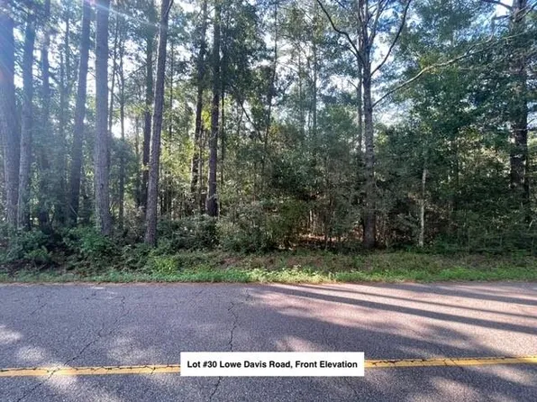 LOT 30 Lowe Davis Rd, Covington, LA 70435