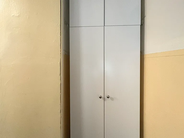 Pantry cabinets with roll out shelves