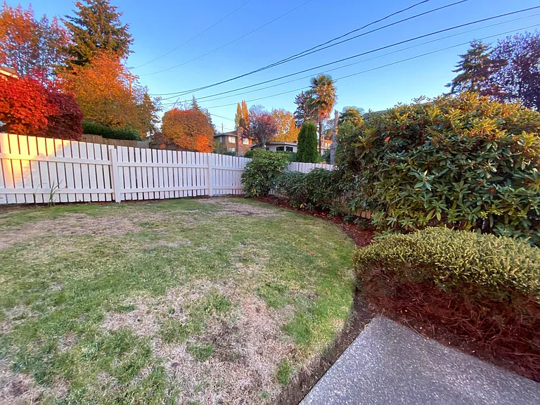 Front Yard