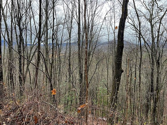 3rd image of 230 Mountain Cir