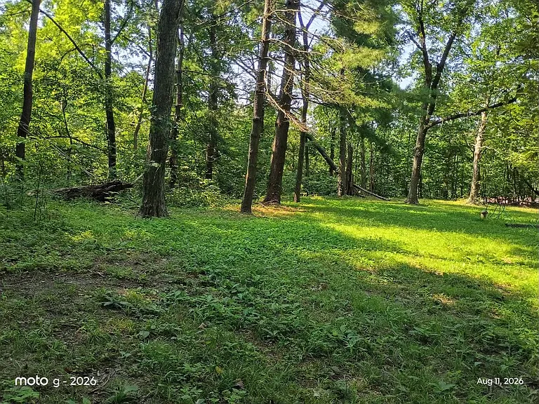 2909 County Road 214 — Photo 17