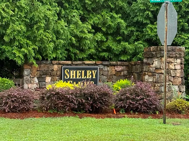 313 Shelby Farms Ln — Photo 13