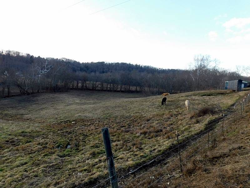 4194 Liberty Rd, West Liberty, KY 41472 Zillow