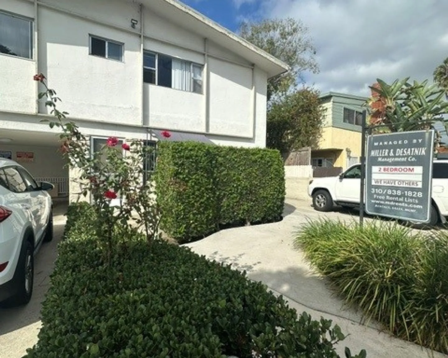 m3609 — Photo 2