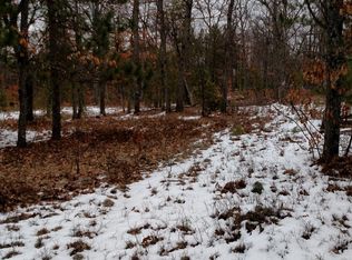 Winter Cv, Grayling, MI 49738