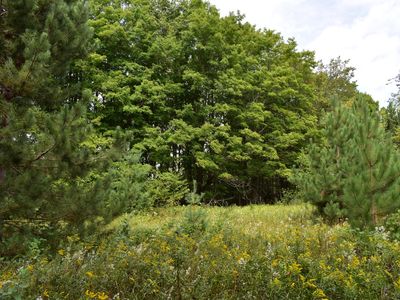 10130 Mouch Rd #6-ACRES, Atlanta, MI, 49709