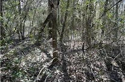 3rd image of 22851 Gila Dr