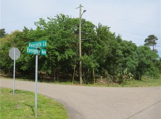 Hyacinth Ln, Spring hill, FL 34609