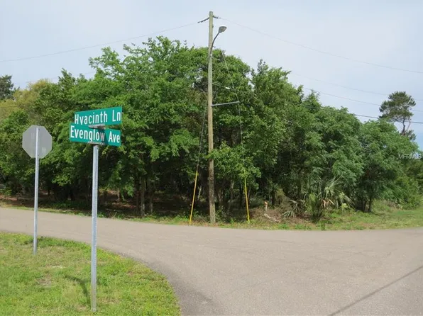 Hyacinth Ln, Spring Hill, FL 34609