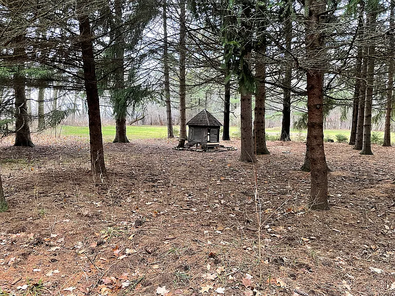 Woods on the property with children's playhouse (old cupola).