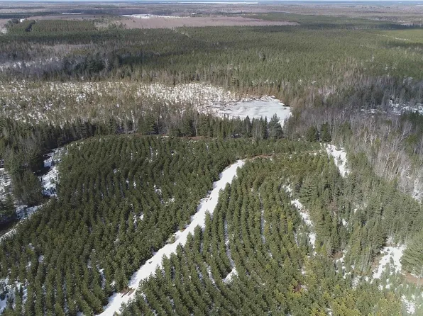 40 Acres Off, Manistique, MI 49854