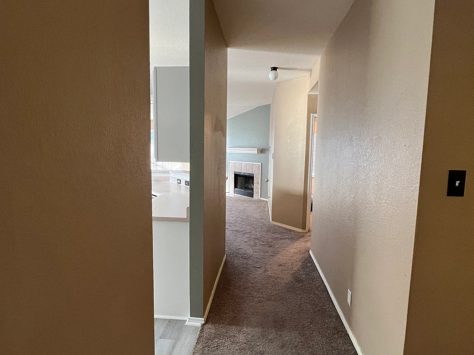 14516 Cottingham Dr — Photo 4